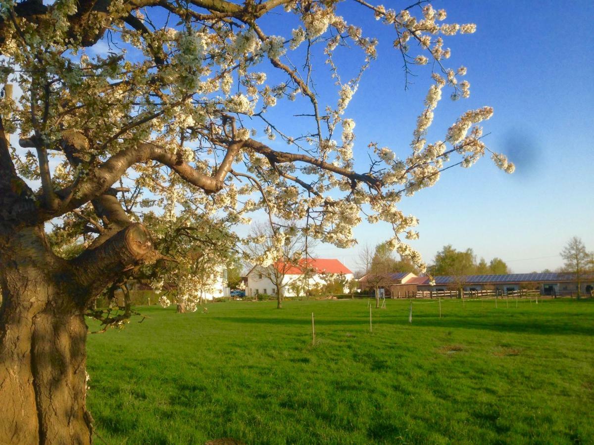 Ferienwohnung Zweinig 01 Bagian luar foto